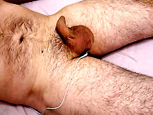 Electro Cock,  Ball And Prostate Stimulation Massage