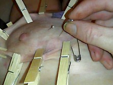 Push Pins,  Clothespins,  And Safety Pin In Tit