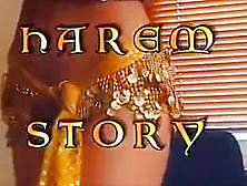 Harem Story