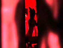 Adorable Red Fox Women And Tik Tok Silhouette Challenge! Meow