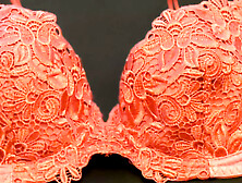 Here I Jerk Off On My Wife's Hot Red Lace Bra (80 D)