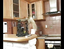 Nikky Blond Gets Sex In The Kitchen
