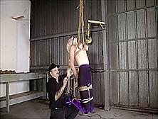 Suscribirse They Turn Purple As She Hangs By Her Tits