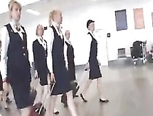 Beautiful Flight Attendants Are Often Having Fun In The Bus,  On Their Way To Work