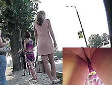 Great Xxx Upskirt Action Realized On The Bus Stop