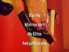 Dominatrix Mistress April Kittens – Pray For Mistress