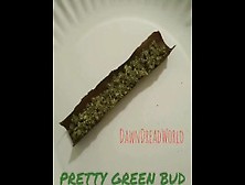 Pretty Green Bud