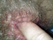 Licking Her Hairy,  Wet,  Granny Puss