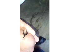 A Small Worm In Cock And A Second !