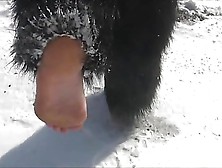 Remove Shoes And Barefoot In The Snow