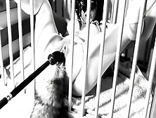 A Day Inside The Life Of A Kitten: Ep. One - Squirting On Her Tail Bdsmlovers91