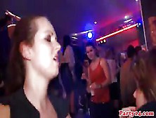 Euro Party Babes Fucks Black Stripper