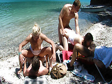 Watch Real Public German Beach Orgy Free Porn Video On Fuxxx. Co