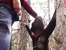 Tied To A Tree On A Sensual Outfit,  Masked And Outdoor Deepthroating With No Mercy - Oral Sex