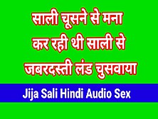 Jija Sali Sali Sex Video With Hindi Voice
