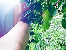 Dirty Slut Pissing On Pears In The Garden - Angel Fowler