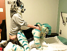 Gay Furry Cosplay,  Cosplay Furry,  Anal Sex