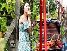 Asian Housekeeper Posed In The Vineyard