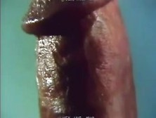 Cock Worshipping Q20 [70's Vintage Porn01[3419805]