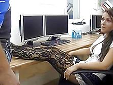 Hot Office Chick Anal In Pantyhose