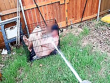 Femdom Wife Humiliates Small Penis Husband Hoses Him Like A Zoo Animal In A Dog Cage