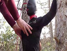 Tied To A Tree On A Sexy Outfit,  Masked And Outdoor Deepthroat With No Mercy