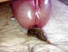 Slug And Cum