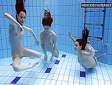Three Hot Bitches Naked In The Pool