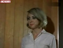 Terri Messina In Blood And Lace (1971)