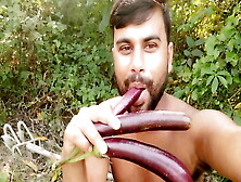 Brinjal Sex Gay Sex Video