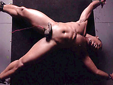 Black Gay Cute White,  Nubian Prince In Torture