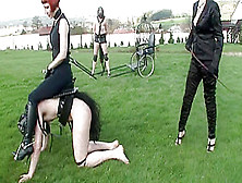 Slaves For Riding