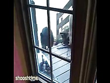 Fearless Kitty Defends House From Intruding Bear
