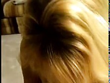 Close Up On Blonde Sucking Expert By Troc
