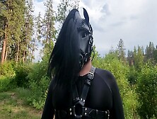 Pony Play - Pony Is Let Loose In The Pasture Then Made To Exercise - Full