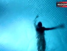 Kelly Lynch Swims Nude In Pool – Magic City