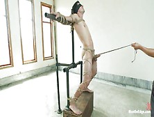 He's Hard Cock Is Tied And Punished