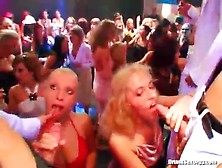 Horny Girls Convinced To Suck Cock At Party