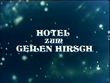 Hotel Zum Geilen Hirsch