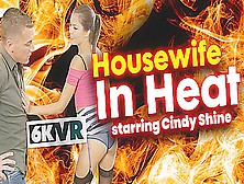 Housewife In Heat - Pornstar Stockings Fetish 3D Porn Hardcore - Cindy Shine