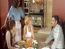 Farmer's Daughters 1986 (Full Movie) (Candie Evans)
