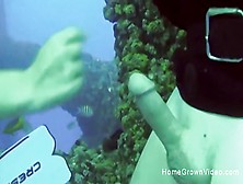 Fucking This Busty Babe Underwater While Scuba Diving
