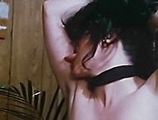 Veri Knotty In Pleasure Palace (1979)