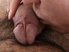 Wife Kisses And Sucks A Dick In Bed