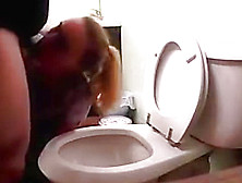 Toilet Licking Piss Whore Compilation