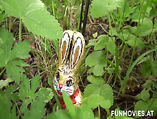 Austrian Teen Found A Real Easter Bunny