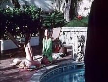 La Villa (1975,  35Mm,  Full Movie,  Vintage French)