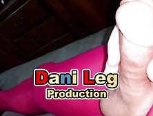 Curvy Legs Of Femboy Dani In Color Pantyhose Are So Sexy And Teasing