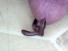 Fun With Worms (Part 2)