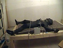 Young Boy From Bremen With Electro Torture